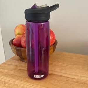 CamelBak Deep Purple Water Bottle